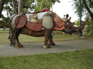 Ellerslie 2010 - Rhino 2