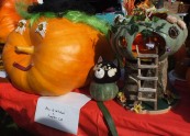 Lincoln Pumpkin Festival 2